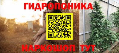 Альфа ПВП Севастополь