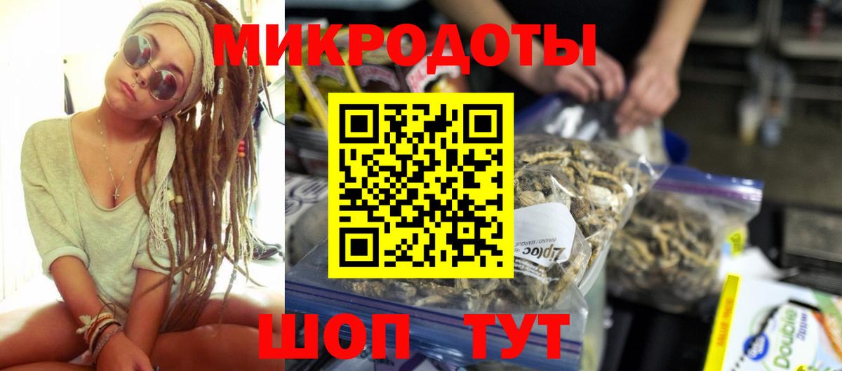 Галлюциногенные грибы Psilocybe Новороссийск